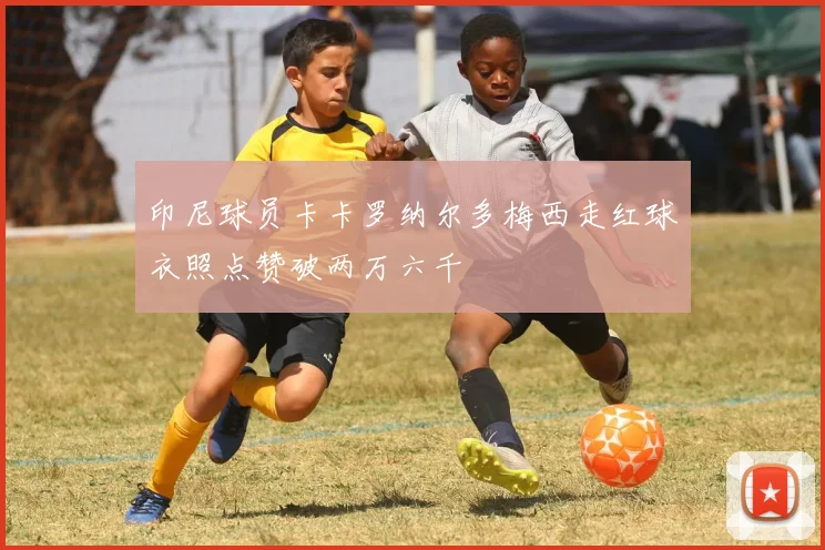 印尼球员卡卡罗纳尔多梅西走红球衣照点赞破两万六千