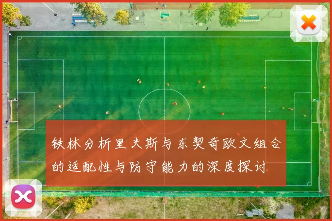 铁林分析里夫斯与东契奇欧文组合的适配性与防守能力的深度探讨