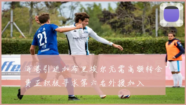 海港引进加布里埃尔无需高额转会费正积极寻求第六名外援加入